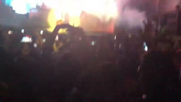 Die Antwoord-Pitbull Terrier-Festival Catrina 2018