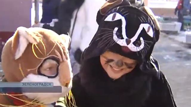 День кота смотреть онлайн