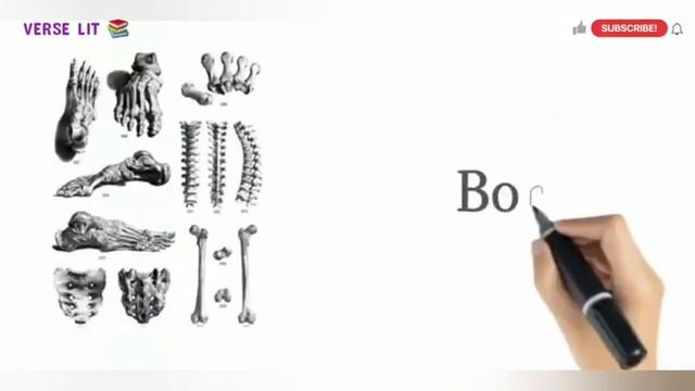 ||BODY PARTS IN ENGLISH||#improveyourenglish #ieltspreparation #learnenglish #vocabulary #grammar смотреть онлайн