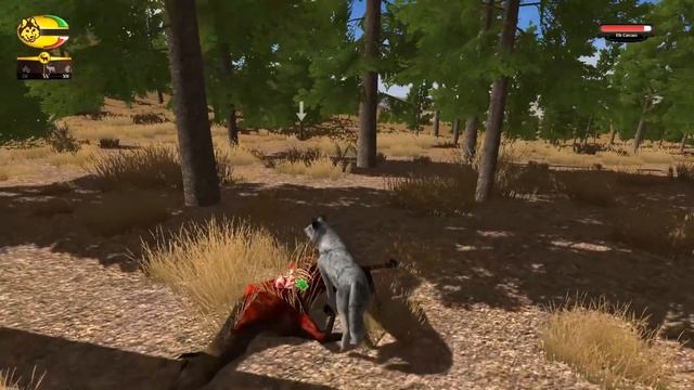 ВОЛК В ПОИСКАХ ВОЛЧИЦЫ - WOLF QUEST #1