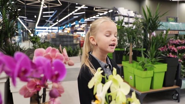 Що це за квітка – орхідея? Катерина Палій / Тема: (Як приборкати орхідею?) смотреть онлайн