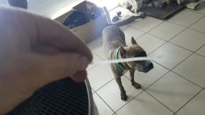 Шкода Октавия. Замена топливного фильтр. Сломали фиксатор разъема.