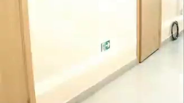 Фотолюминисцентная пленка смотреть онлайн