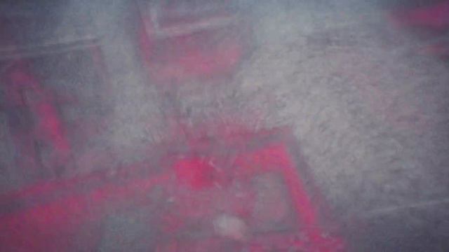 She Wolf | Collab Edit (Tanki Online) смотреть онлайн