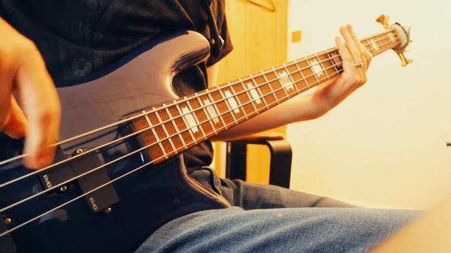 The Pot by Tool - Bass Cover (Spector Euro 4LX) *Darkglass & Sansamp* смотреть онлайн