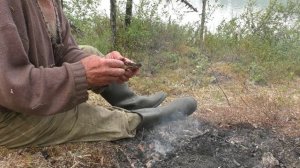 Окононские хариуза . Запекаю во мху