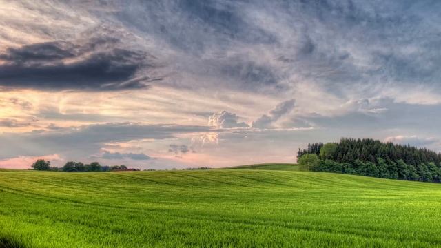 Когда я в духе созерцаю