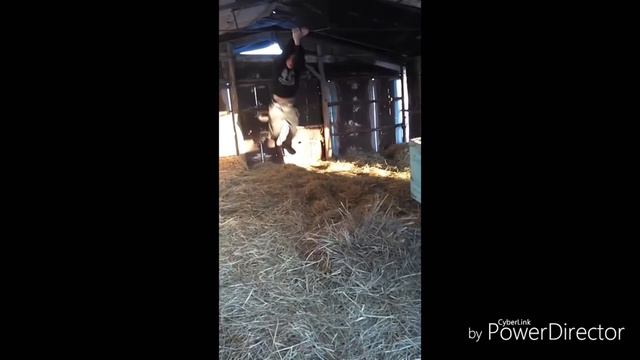 Накопившиеся моменты моих друзей ! смотреть онлайн
