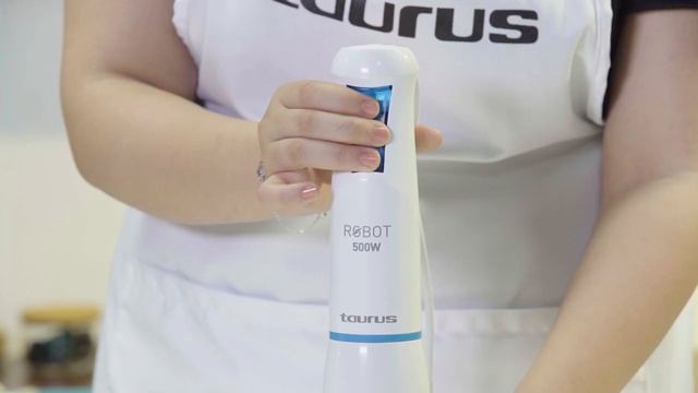 Robot 500 plus inox - Mixeur смотреть онлайн