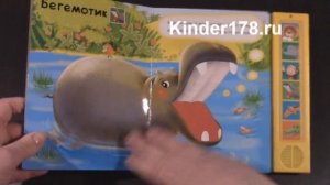 Детская музыкальная книга "Львëнок и его друзья" Погладь меня. Азбукварик. Видео-обзор