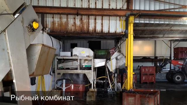 Рыбный магазин и цех в Аркашоне смотреть онлайн