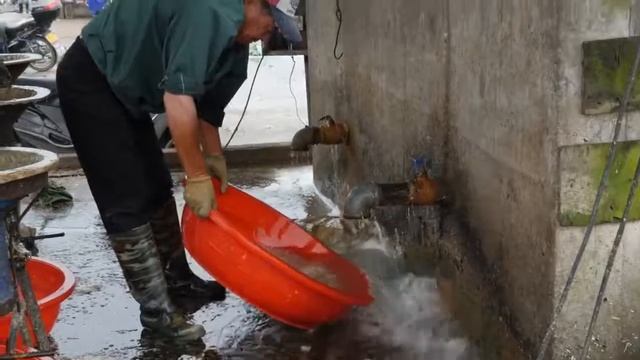 Fresh water pearl harvesting ( in china ) смотреть онлайн
