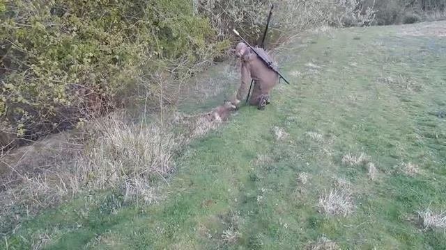 Охота на пятнистого оленя. смотреть онлайн