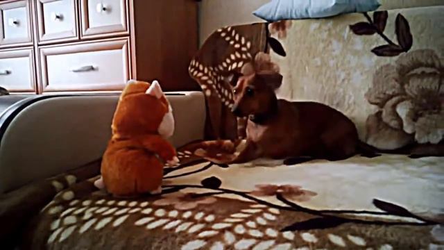 Такса смотреть онлайн