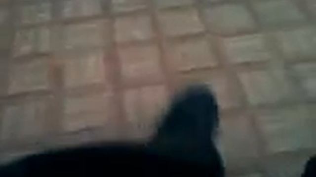 Башмак смотреть онлайн