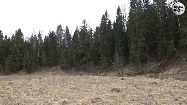 Древняя Русь! смотреть онлайн