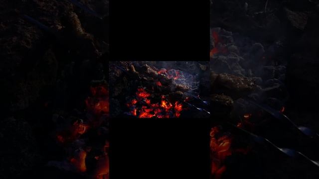 Рыбалка в Великом Новгороде. Ловлю рыбу, готовлю на углях, сплю в палатке. Ильменский глинт смотреть онлайн