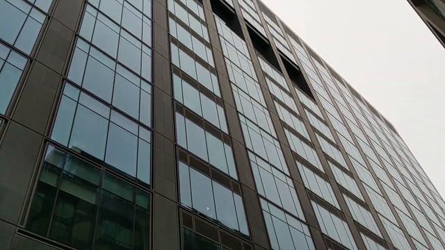 Самые востребованные профессии в Ирландии в 2020 смотреть онлайн