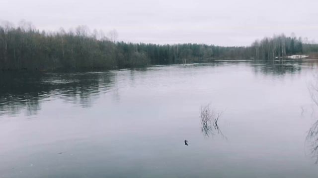 Где лучше жить? В городе или деревне? смотреть онлайн