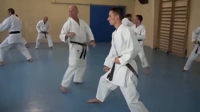 KARATE Shotokan 19 JANVIER 2014partie 1