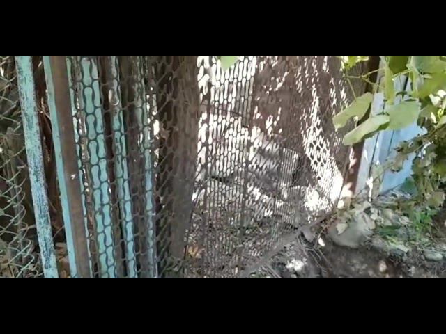 Еще одна проблема, которую нужно победить.