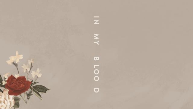 Shawn Mendes "In My Blood" (Audio) смотреть онлайн