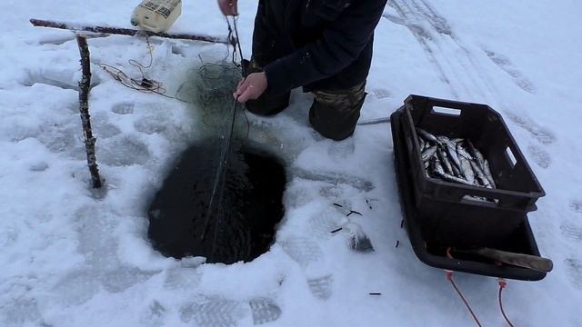 ЛОВЛЯ РЯПУШКИ-МОЙ КРАЙНИЙ ВЫЕЗД / ПРОВЕРКА СЕТЕЙ / ЗАКРЫТИЕ РЯПУШКОВОГО СЕЗОНА смотреть онлайн