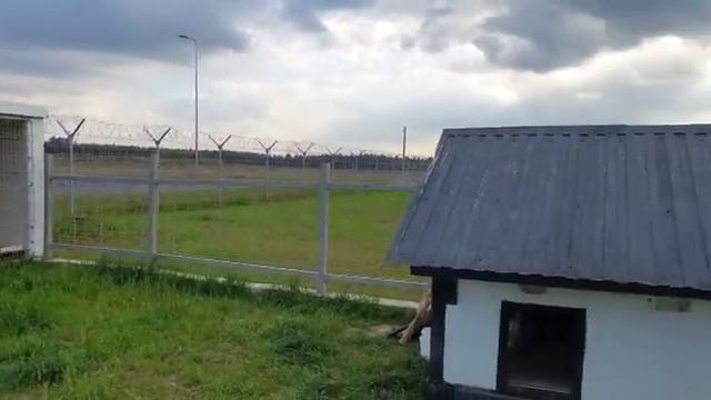 Будки и вольеры от кинологического центра "Регул Групп" смотреть онлайн