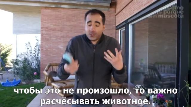 Кролики-самый пушистый кролик на свете смотреть онлайн