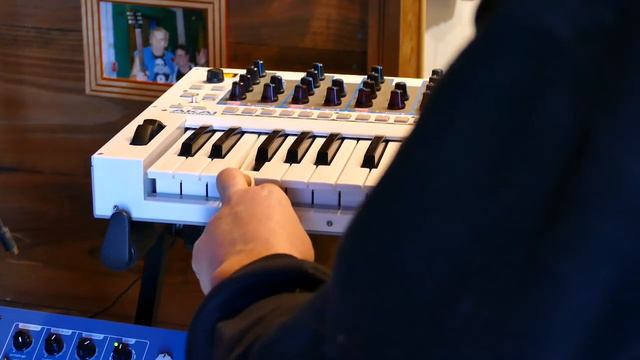 Timbre Wolf as External Input to Vermona '14 смотреть онлайн