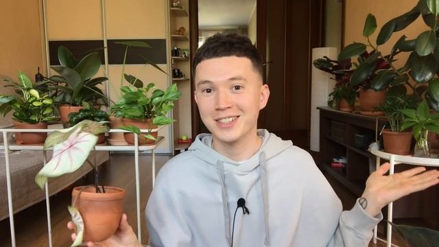 5 Классных Новых Комнатных Растений в Мою Коллекцию смотреть онлайн