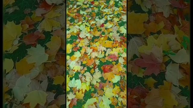 Я, наверно, сегодня схожу с ума. Автор стихов Инна Якуш. смотреть онлайн