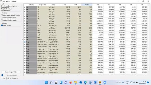 Image Classification Using Logistic Regression In Orange | Computer Vision Made Simple|
