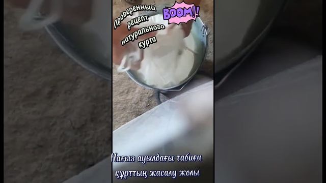 Ауылдағы нағыз табиғи құрттың жасалу жолы. Ютуб каналыма салаамын. Натуральный курт. #рецепт #курт смотреть онлайн