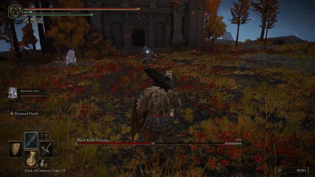 black knife tiche +10 vs black knife assassin Elden ring смотреть онлайн