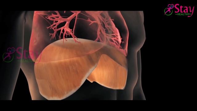 सिगरेट छोड़ने के बाद कैसे करें फेफड़ों की सफाई | How To Clean Our Lungs After Smoking смотреть онлайн