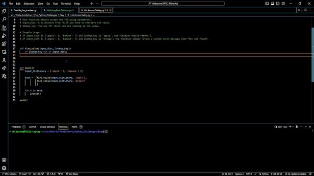 Pro Python Challenge - List Access Safety смотреть онлайн