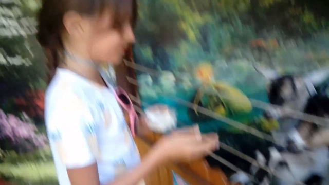 Новые ПИТОМЦЫ? Лиза в Контактном ЗООПАРКЕ Приветы Подписчикам VLOG LizaTube смотреть онлайн