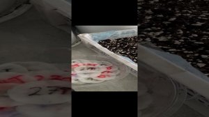 5 марта. Посадка томатов высокорослых и низких, но не всех