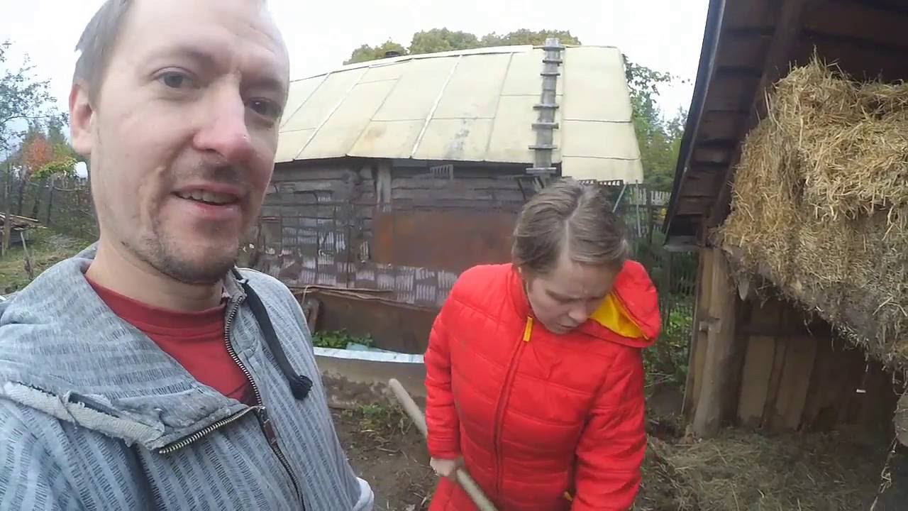 Шершень? Домик бабайки! смотреть онлайн