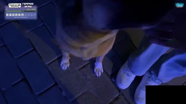 ПЛОХОМУ ПАРНЮ ПОДАРИЛИ СОБАКУ!! ПЛОХОЙ ПАРЕНЬ ИРЛ!! или нет смотреть онлайн