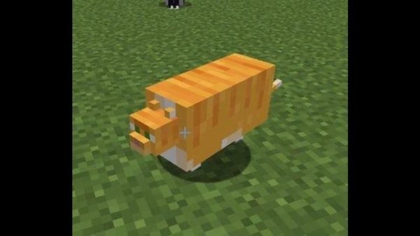 Cursed Minecraft images but with Distorted Dream's speedrun music