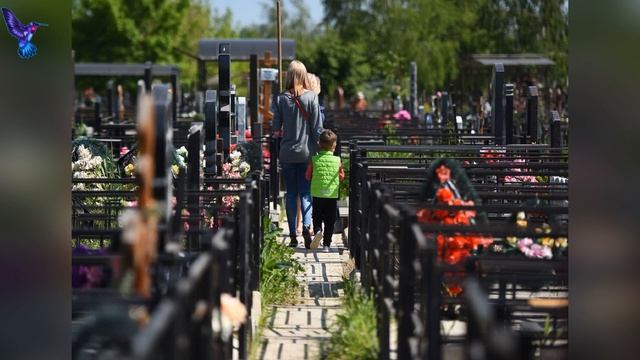 Что нельзя делать на кладбище смотреть онлайн
