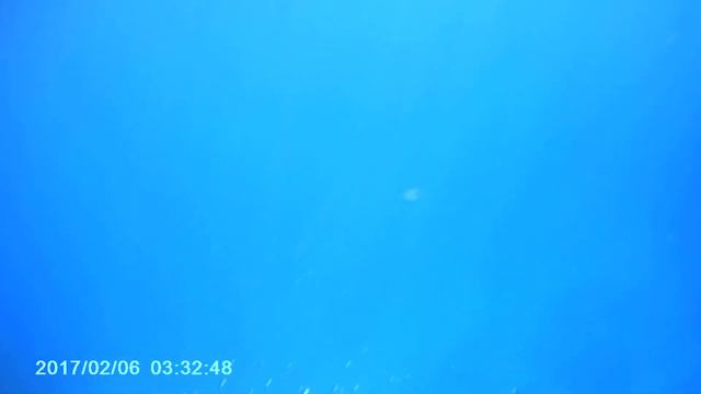 Красное море. Шарм 2018 август. смотреть онлайн