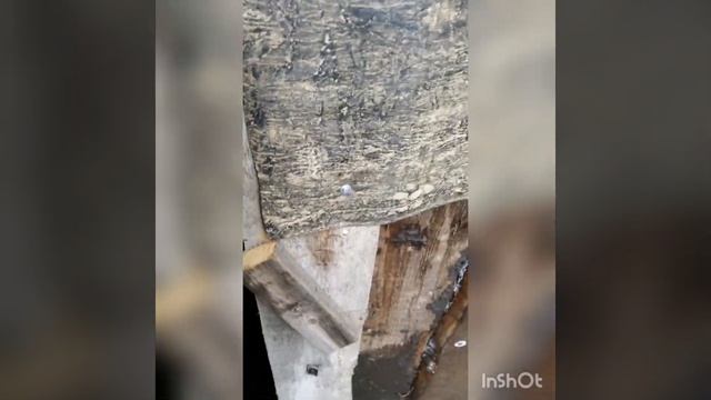 Загон для барана из того, что было смотреть онлайн