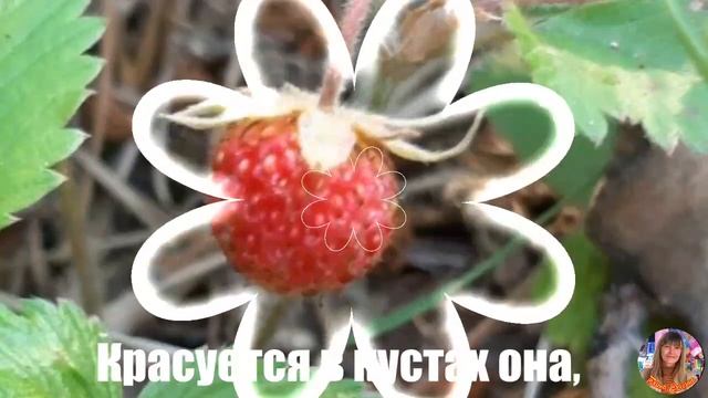 Земляничного настроения! смотреть онлайн