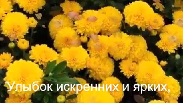 Обуна шавед(17) смотреть онлайн