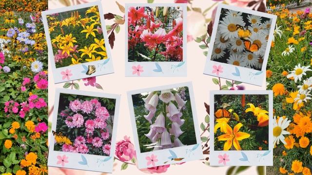 Лучшее поздравление в День Рождения. Вика поздравляет бабушку с юбилеем. Вики Сторис - Viki Stories смотреть онлайн