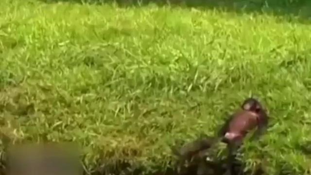 Семейная жизнь😁 смотреть онлайн