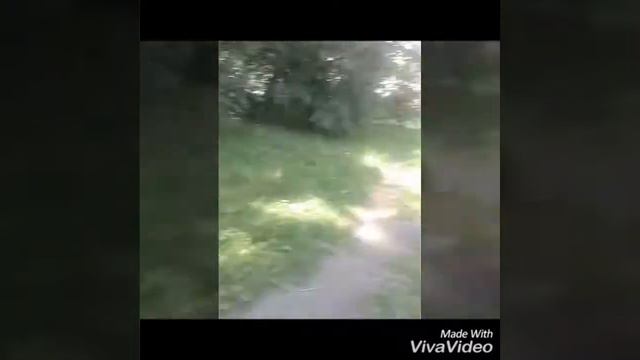 мечта человека!!! или Марли и я смотреть онлайн